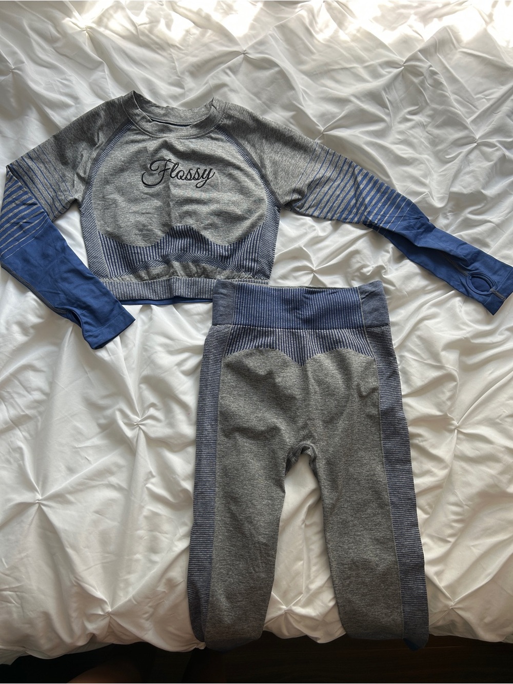 Women's Grey & Blue Seamless Long Sleeve Crop Top